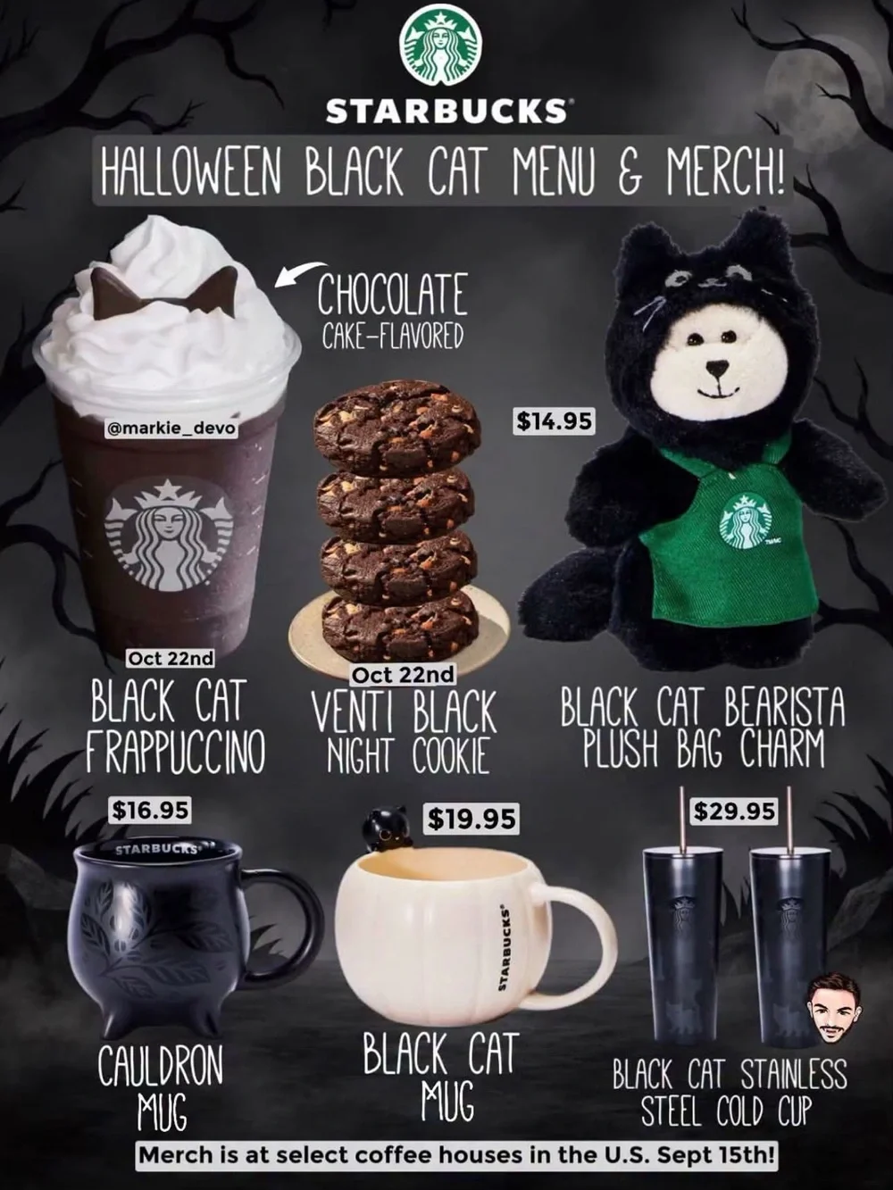 Starbucks Black Cat on Pumpkin mug